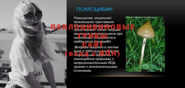 амф Белоозёрский