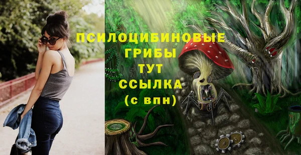 амф Белоозёрский