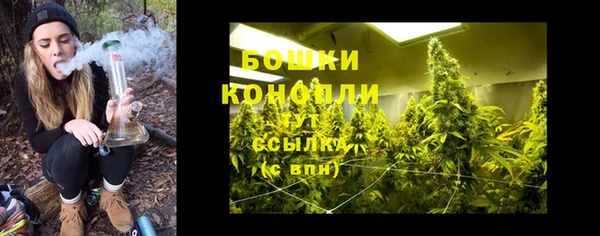 амф Белоозёрский